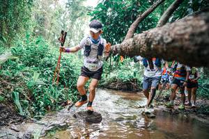 BIB: 
                            <button type="button" onclick="openModal(25375439)" class="btn btn-primary btn-sm float-right btn-popup" data-toggle="modal" data-target=".modal-high-quality">
                        <i class="fas fa-shopping-cart"></i> Add to Cart
                    </button>
                                            <button type="button" onclick="isThisMe(25375439, true)" class="btn btn-success btn-sm float-right btn-popup btn-isme hidden" data-toggle="tooltip" data-placement="bottom" title="นี่คือรูปของคุณใช่ไหม คลิกที่นี่เพื่อเอาเข้าอัลบั้ม">
                        <i class="fas fa-plus"></i> Add to album
                    </button>
                    <button type="button" onclick="isThisMe(25375439, false)" class="btn btn-warning btn-sm float-right btn-popup btn-isnotme hidden">
                        <i class="fas fa-ban"></i> Remove from album
                    </button>